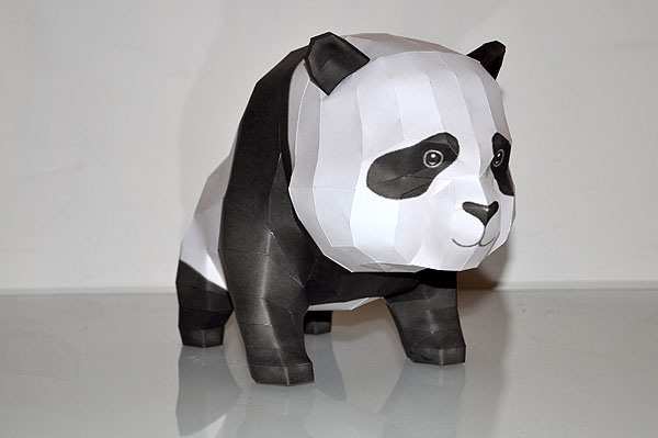 panda03.jpg