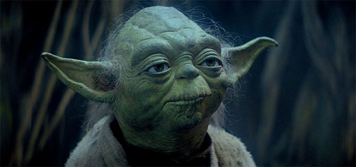 yoda01.jpg